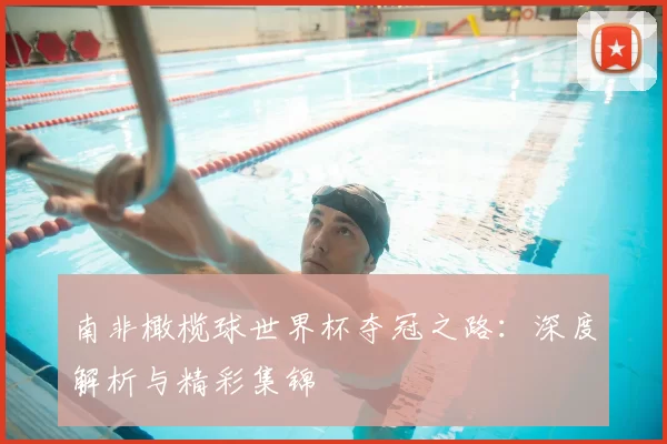 南非橄榄球世界杯夺冠之路：深度解析与精彩集锦