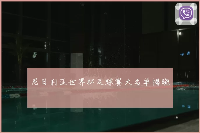尼日利亚世界杯足球赛大名单揭晓