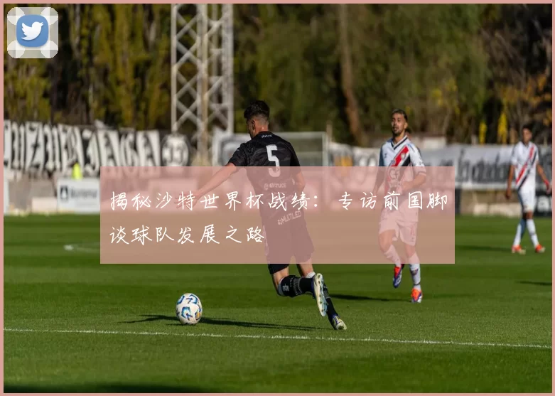 揭秘沙特世界杯战绩:专访前国脚谈球队发展之路