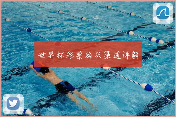 世界杯彩票购买渠道详解