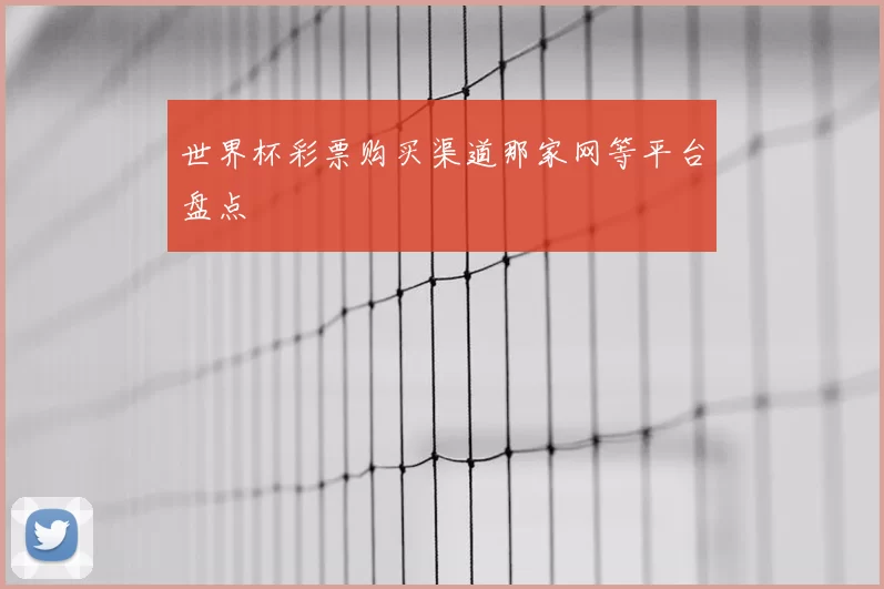 世界杯彩票购买渠道那家网等平台盘点