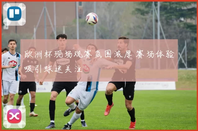 欧洲杯现场观赛氛围浓厚 赛场体验吸引球迷关注
