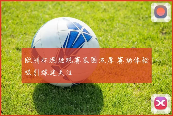 欧洲杯现场观赛氛围浓厚 赛场体验吸引球迷关注