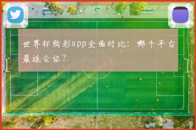 世界杯购彩app全面对比:哪个平台最适合你?